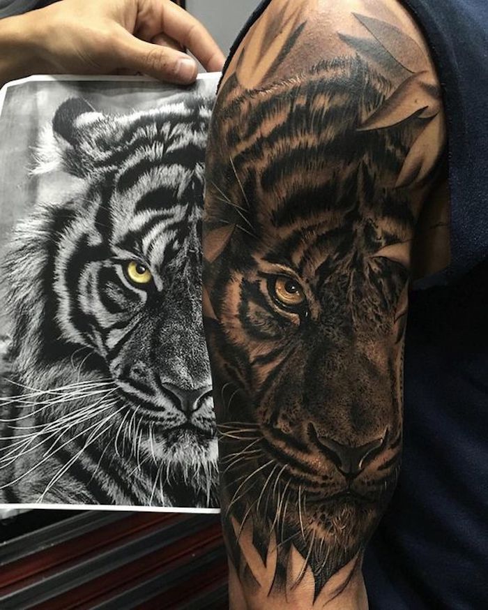 tiger tattoo, shwarz-weiße zeichnung, oberarmtattoo, tätowierung