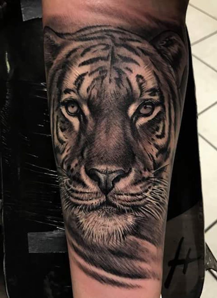 tiger tattoo, bein, beintattoo, tätowierung in schwarz und weiß