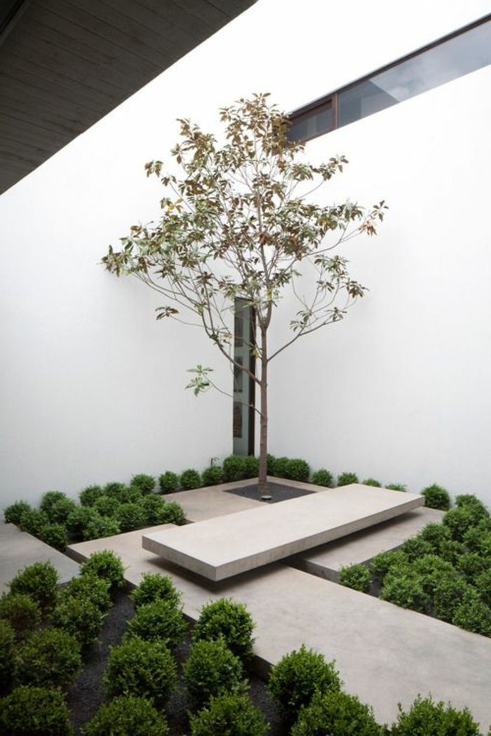 ein einsamer Baum in einem minimalistischen Garten gepflanzt mit viele grüne Sträucher umgeben 