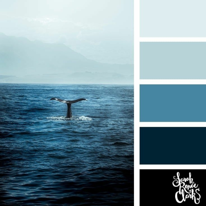 Maritime Farben kombinieren, verschieden blaue Nuancen, Bild vom Meer und einem Delfin, Collage von Farben