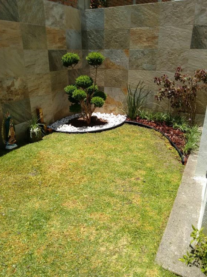 Gartengestaltung modern - Zierbaum in der Ecke, grüner Rasen, kleine weiße Steine