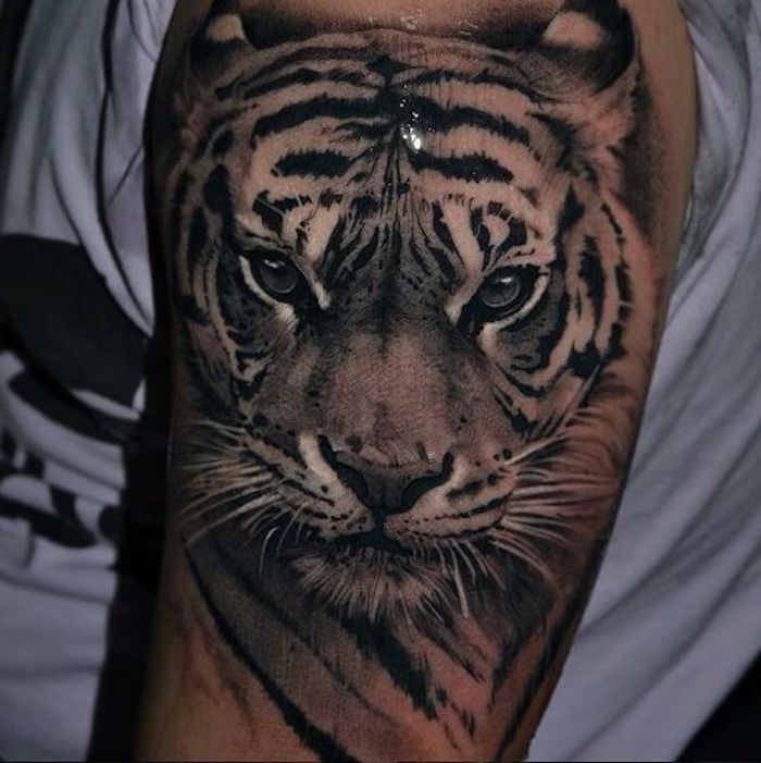tiger tattoos, oberarm, oberarmtattoo, weißes t-shirt