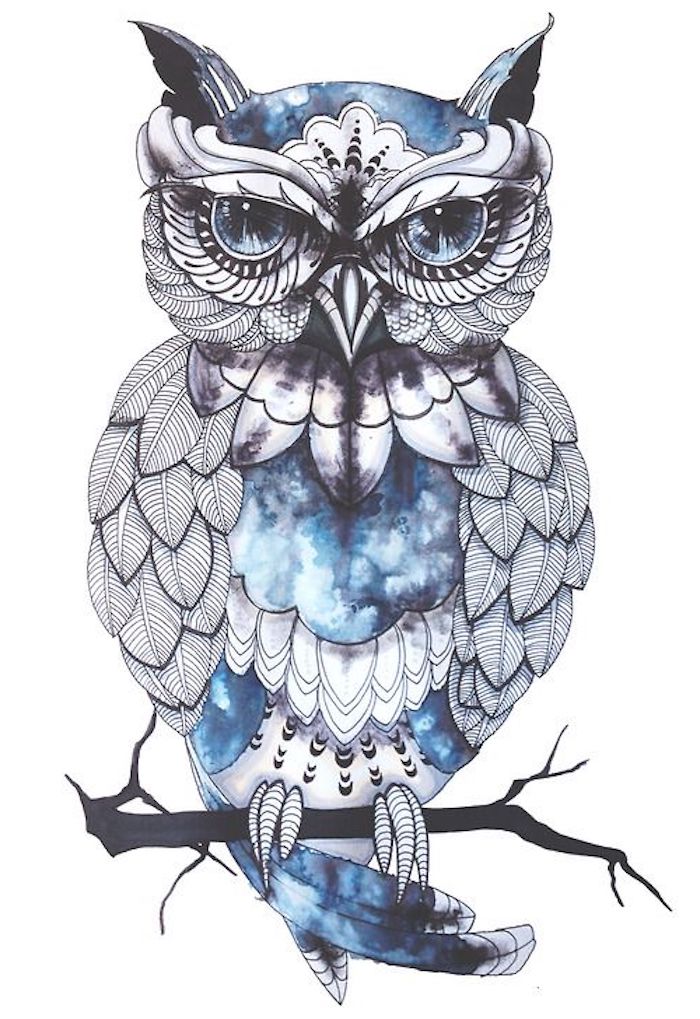 das ist eine blaue eule mit blauen augen - idee für einen owl tattoo