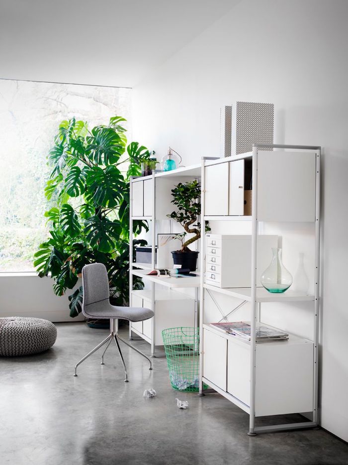 schönes weißes kompaktes Arbeitszimmer mit Monstera in der Ecke - Zimmerpflanzen für wenig Licht