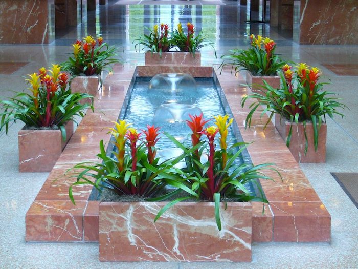Pflanzen für dunkle Ecken gelbe und rote Blüten um einem inneren Brunnen