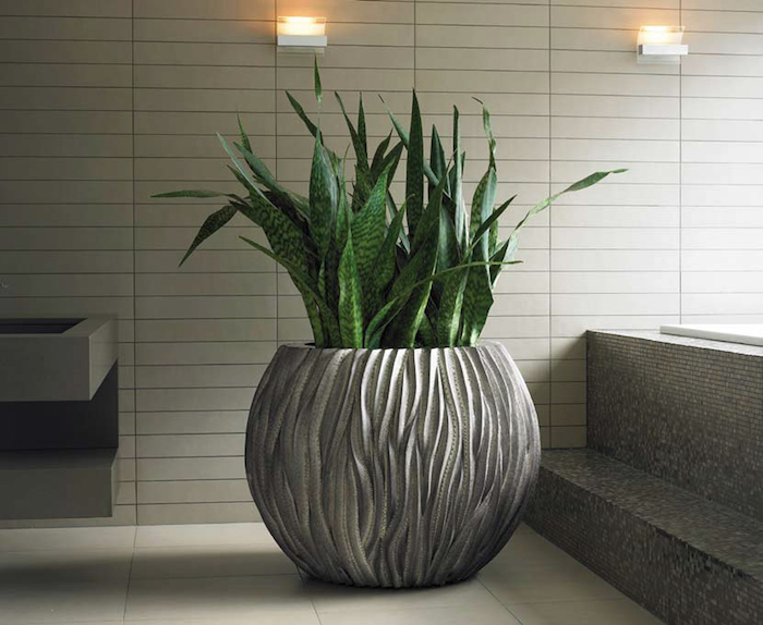 ein großer Blumentopf mit Pflanzen für dunkle Räume in einem modernen Badezimmer