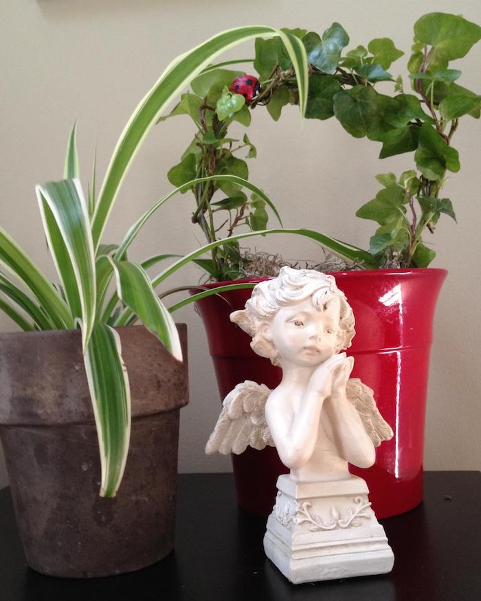 zwei Blumentöpfe mit Pflanzen für dunkle Räume und eine entzückende Engel Skulptur 