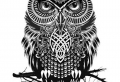 47 inspirierende Ideen und Bilder zum Thema Owl Tattoo!