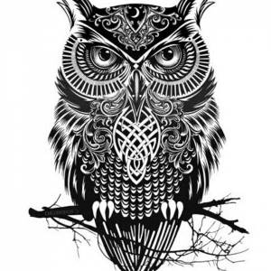47 inspirierende Ideen und Bilder zum Thema Owl Tattoo!
