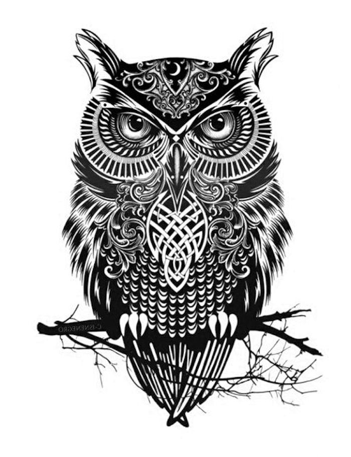 jetzt eine idee für einen schwarzen tattoo mit einer eule und einem schwarzen ast - owl tattoo