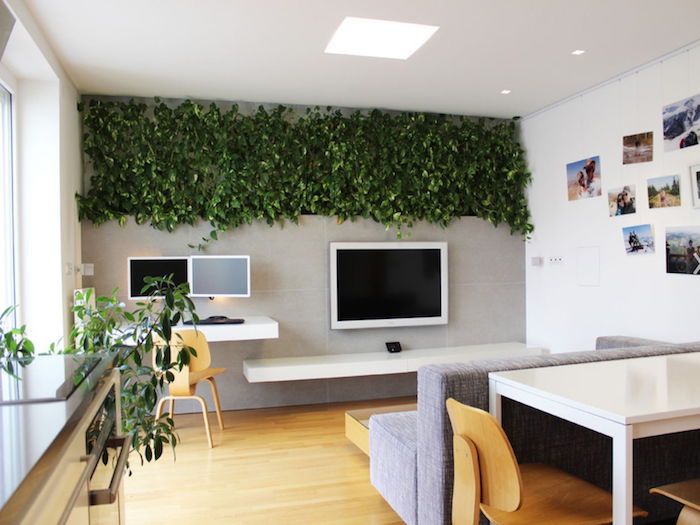 kompaktes Wohnzimmer, Arbeitszimmer und Esszimmer mit Efeu Dekoration Zimmerpflanzen schattig