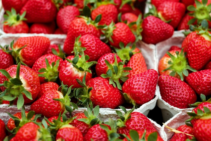 Selbstversorger-Garten, Erdbeeren selber anbauen, BIO Lebensmittel, Tipps für Hobbygärtner