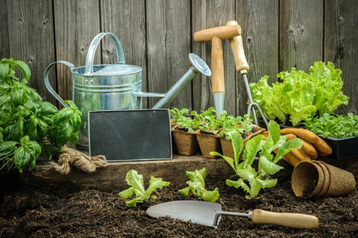 Ausrüstung für Hobbygärtner, die wichtigsten Gartengeräte, Tipps für Hobbygärtner, Obst und Gemüse selber anbauen