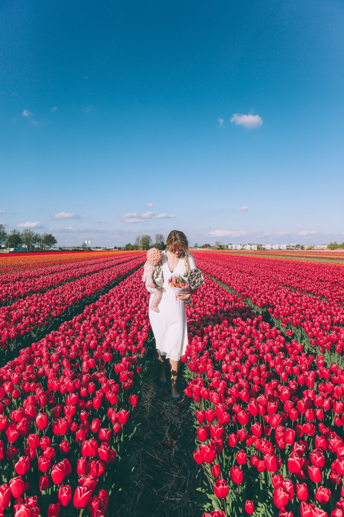 Tulpenfelder in Holland, zahlreiche, rote Tulpen, Frau mit Baby, zwei Blumensträusse