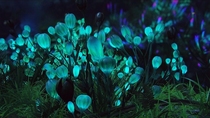 animiertes Hintergrundbild, berühmte Szene aus Avatar, leuchtende Blumen