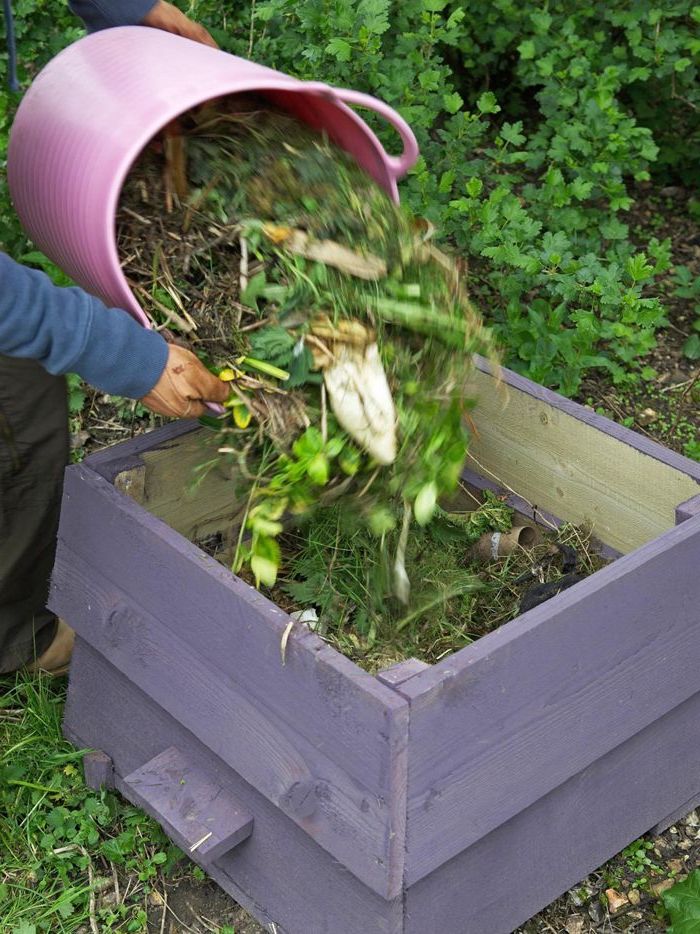 wir empfehlen ihnen einen blick auf diesen kleinen schönen lila komposter zu werfen - tolle idee zum thema gartengestaltung - komposter und eimer