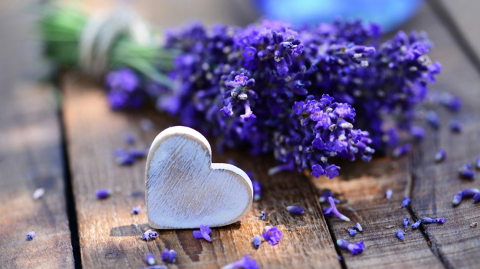Lavendel und Herz aus Holz, Hintergrundbild in Lila, Natur spüren und genießen, schöner Blumenstrauss