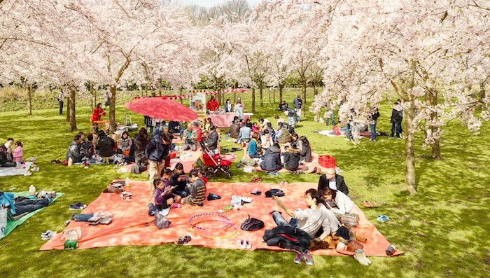 Picknick, Familienversammlung, roter Sonnenschirm, japanische Tradition