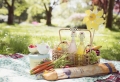 Das Picknick - ein Vergnügen für die Sinne und die Seele