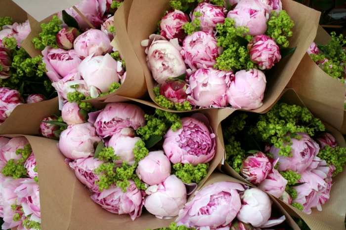 Pfingstrosensträusse, mit Papier verpacken, rosafarbene Blüten, Blumen verschenken