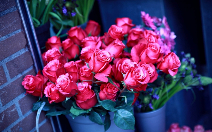 Rosenstrauss, Rosen verschenken, rote Blüten, das perfekte Geschenk für die liebe Frau