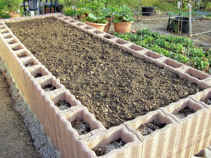 Tolle Pflanzsteine für Ihren eigenen Garten