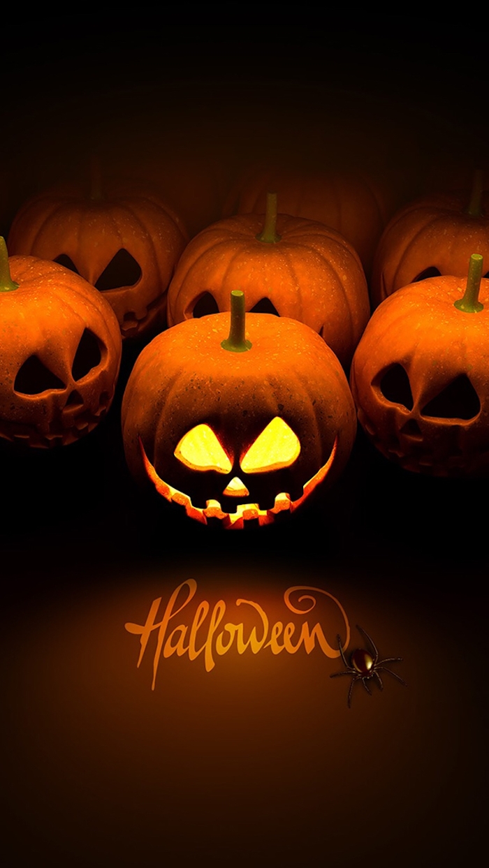 Halloween Hintergrund mit dem Namen des Festes Halloween Kürbisse und eine Spinne