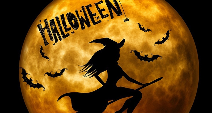 Halloween Vollmond und eine Hexe mit einem Hexenbesen fliegt, eine Spinne die hängt