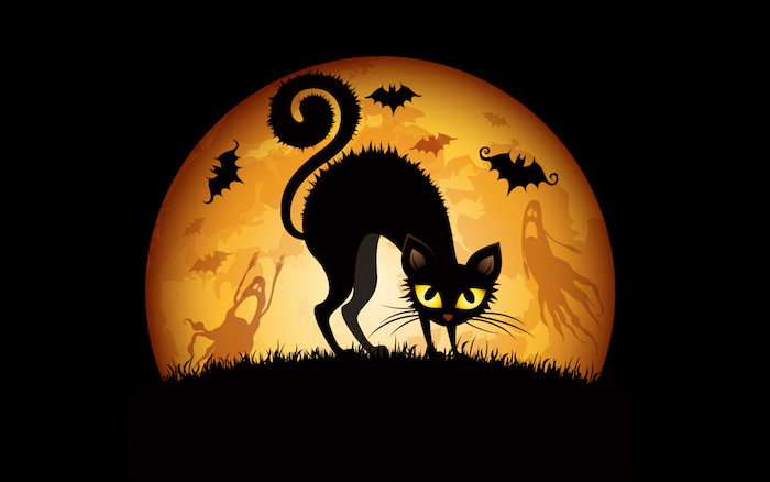eine schwarze Katze mit dem Vollmond am Hintergrund - Bilder Halloween