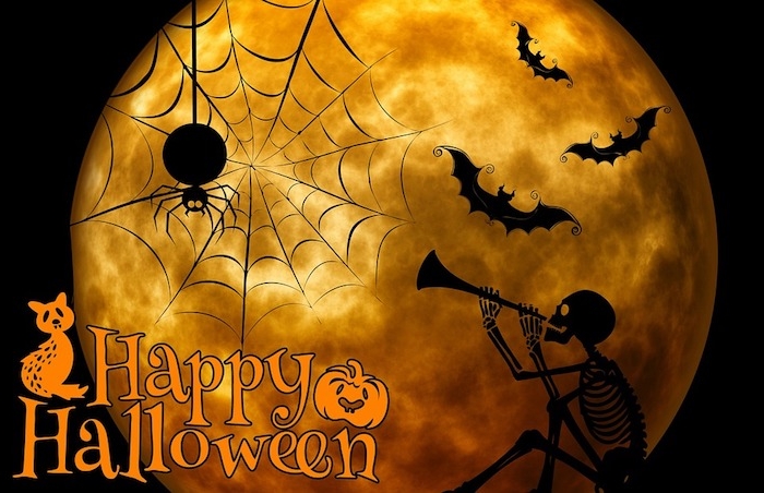 ein Vollmond eine Spinnennetz und die Wörter Happy Halloween - Halloween Hintergrund