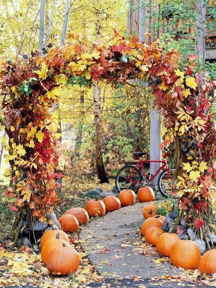 Garten im Herbst Das ist nun zu erledigen