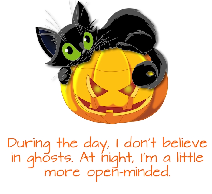 tolles bild mit einem halloween spruch, einem halloween kürbis und einer kleinen schwarzen katze mit grünen augen