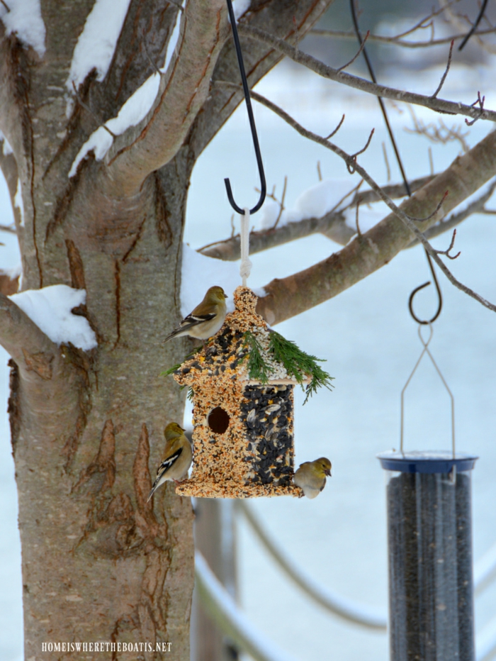 Futterhaus aus Holz für Vögel, mit Samen und Sonnenblumenkernen bekleben, drei kleine Sperlinge, Schnee auf den Zweigen