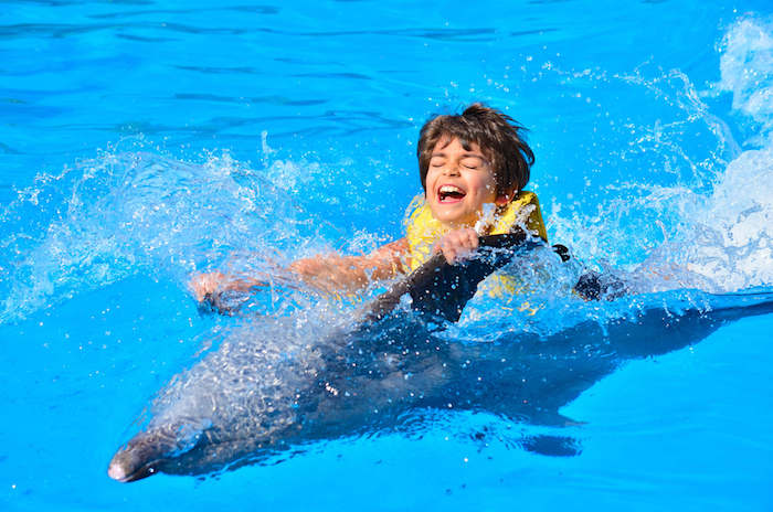 jetzt zeigen wir ihnen ein bild mit einem kind mit einem schwimmenden grauen delfin in einem pool mit einem blauen wasser