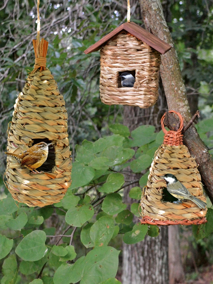 Drei Vogelhäuschen im Landhausstil, am Baum aufhängen, drei Vögelchen fressen Samen