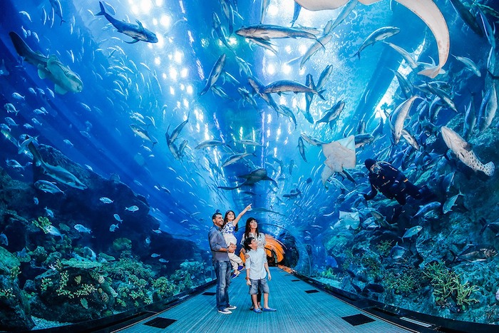 wo liegt dubai aquarium in dubai mall familie mit zwei kindern geht spazieren und besichtigt die sehenswürdigkeiten von dubai