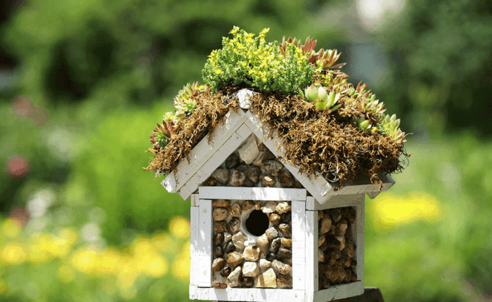 tolles Vogelhäuschen aus Holz, die Wände mit kleinen Steinen dekorieren, Grüne auf dem Dach