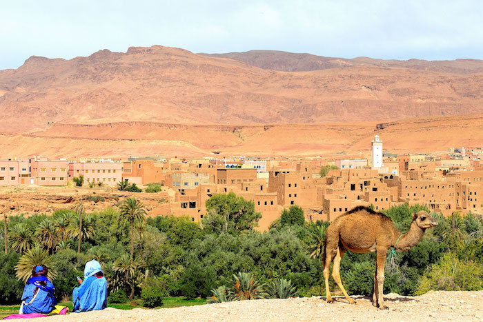 marokko hauptstadt reise safari kamele beduinen wüste die schöne gebäude von marokko