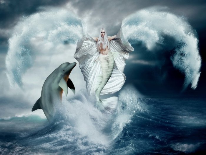 traumhaftes bild mit einem grauen delfin und einer weißen meerjungfrau mit einem weißen rock und weißen flügeln