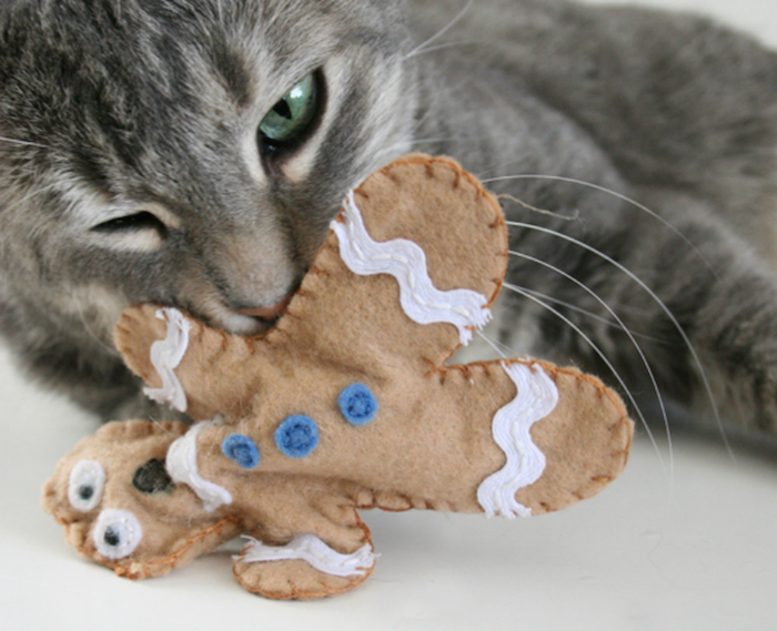 Katzenspielzeug selber machen wie eine Süßigkeit von einem grauen Kätzchen