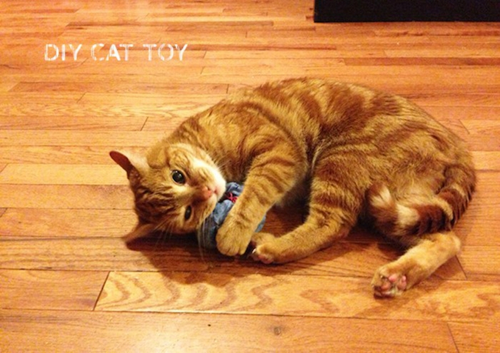 Spiele für Katzen - eine entzückende Katze spielt mit einem grauen Spielzeug