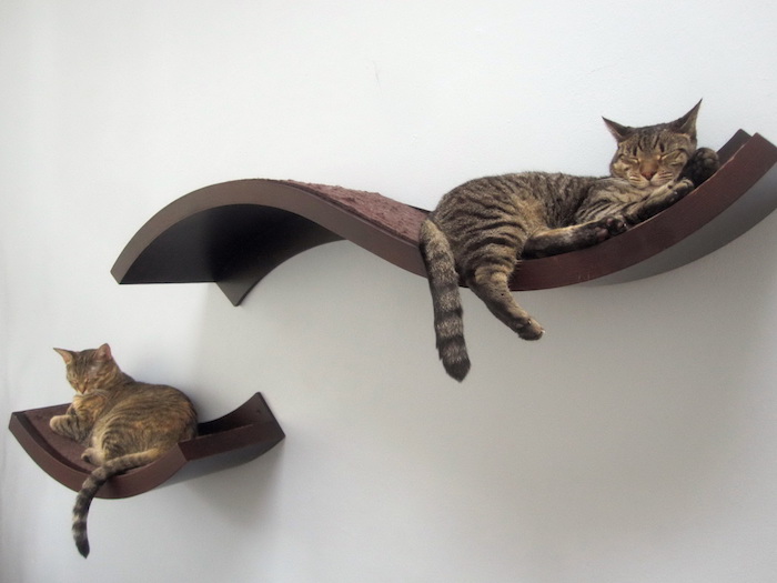 Katzen Intelligenzspielzeug - zwei Regale, wo sich die süßen Katzen ausruhen können 
