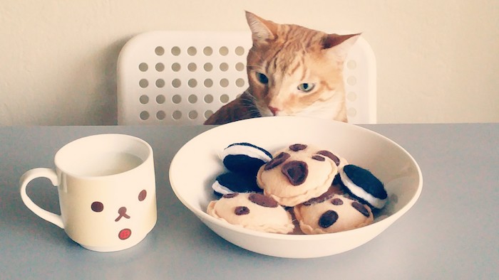 eine Katze, die ein Teller und eine Tasse betrachtet, das Teller ist voll von Spielzeuge in der Form von Keksen - Katzen Intelligenzspielzeug