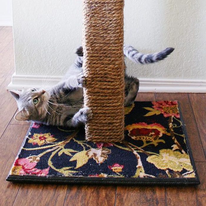 ein Kratzbaum auf einem Teppich mit Blumenmuster - Katzen Intelligenzspielzeug