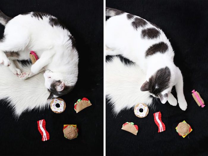 Katzenspielzeug basteln - eine weiße Katze mit schwarzen Flecken, spielt mit Essen aus Stoff