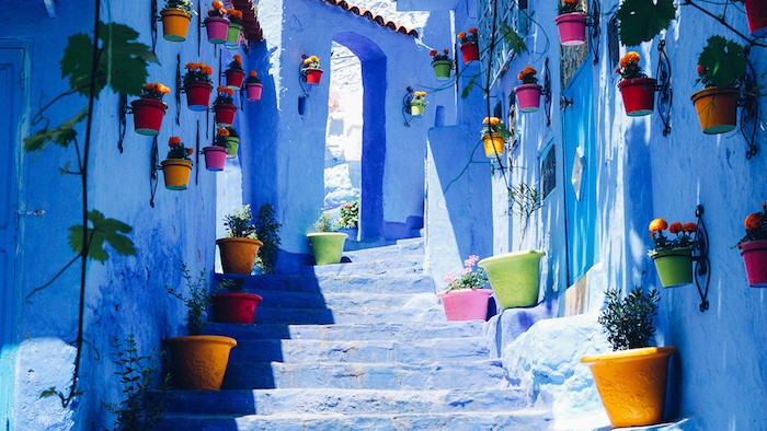 marokko interessante orte ein ort zum besten spaziergang die kleinen gassen von rabat blumen pflanzen deko straßendeko
