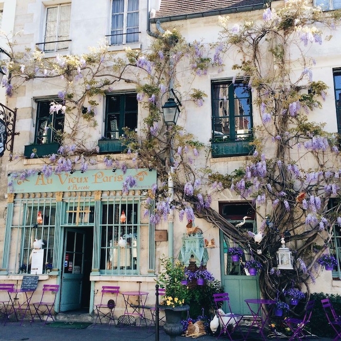 mint farbe willkommen in dem straßencafe in paris schöne kontraste niedlich grün und lila