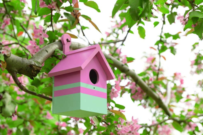 Vogelhäuschen aus Holz, rosa und grün bemalt, Frühlingsbaum, Dekoideen für fröhliche Stimmung in Ihrem Garten