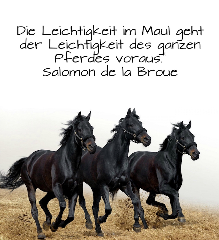 drei laufende pferde mit einer schwarzen mähne und schwarzen augen, bild mit einem gelben grass und mit einem zitat von salomon de la broue, ein kurzer spruch zum thema pferde