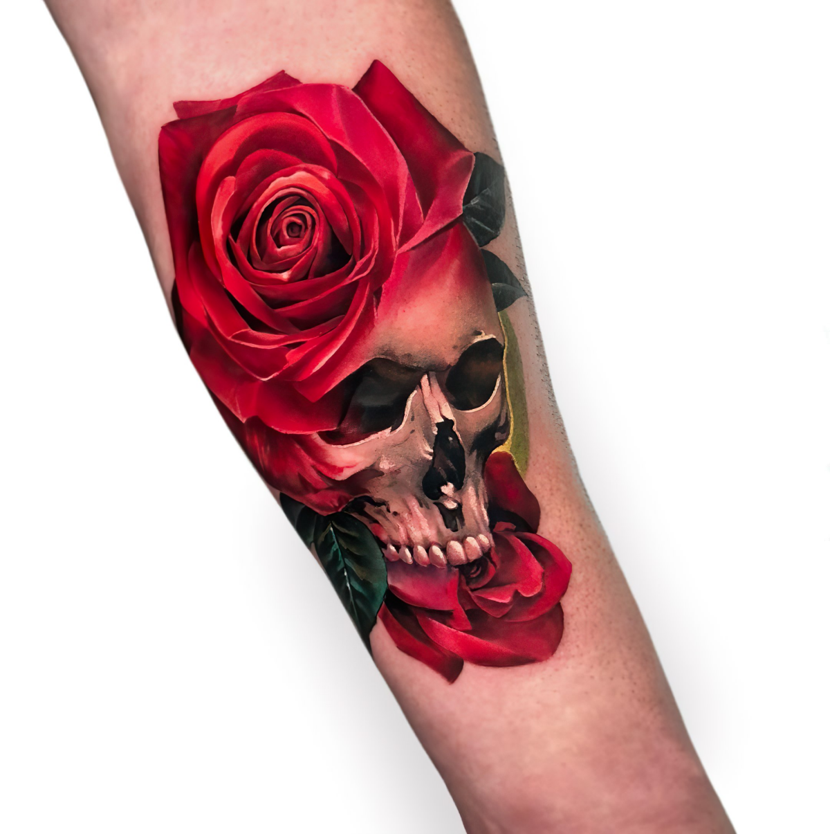rosen mit schaedel tattoo vanitas symbol  rostra s profilbild  rostra